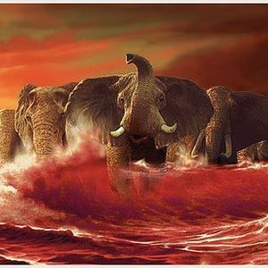 Meet your Posher, Wanda